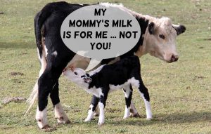 Muttermilch ist fuer den Saeugling und nicht fuer Erwachsene